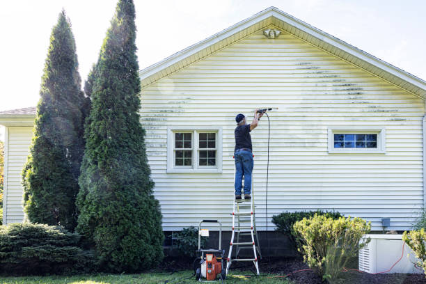 Best House Exterior Washing  in Denham Springs, LA